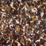 Ткань хлопок 100%, плотный, принтованный, Max Mara   тёмно-золотой  