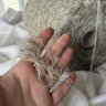 Пряжа Silk Linen - шёлк 30%, лён 70% мешковина Пряжа Silk Linen - шёлк 30%, лён 70% мешковина